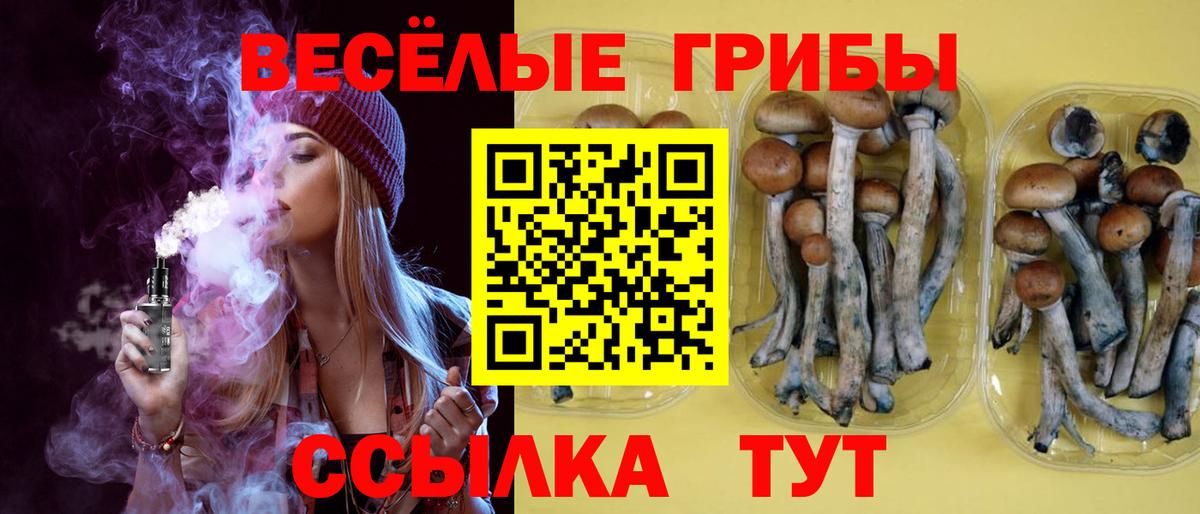 Псилоцибиновые грибы прущие грибы Карпинск